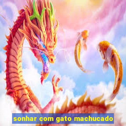 sonhar com gato machucado